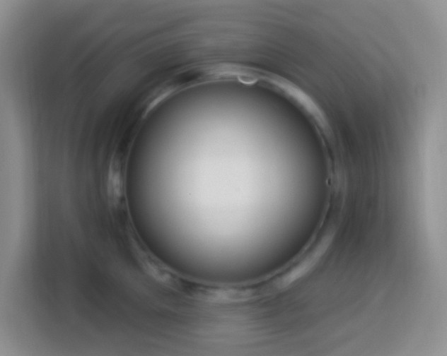 X0000114080905200910051356