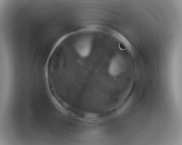 X0000114080907200910051356