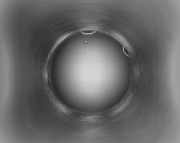 X0000114080908200910051356