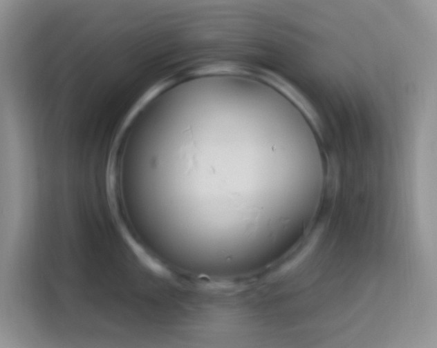 X0000114080909200910051356