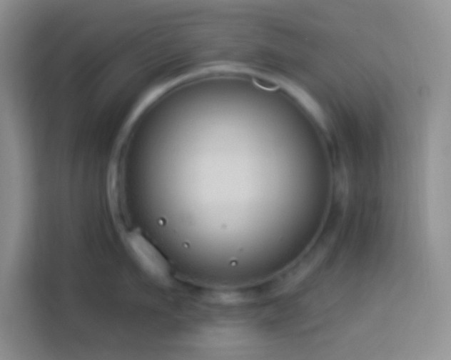 X0000114080911200910051356