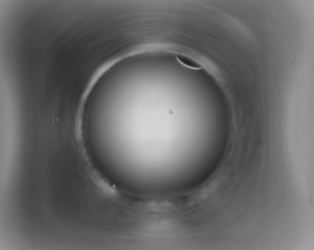 X0000114080912200910051356