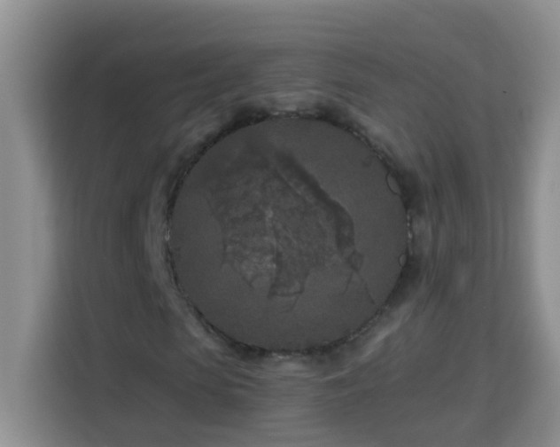 X0000114080913200910051355