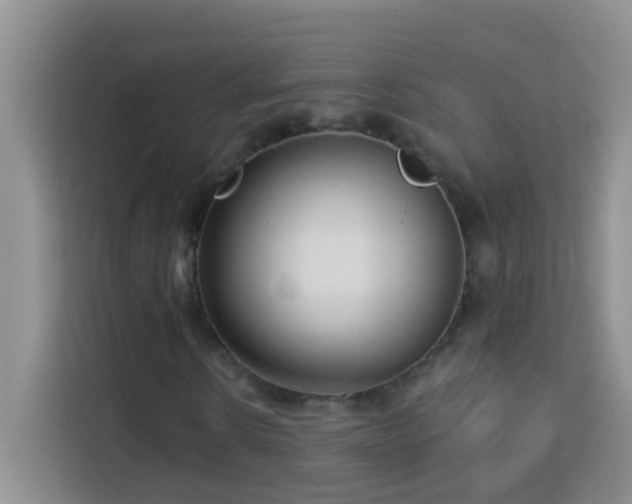 X0000114080914200910051355