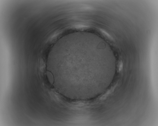 X0000114080917200910051355