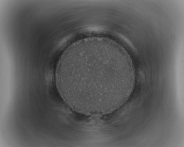 X0000114080918200910051355