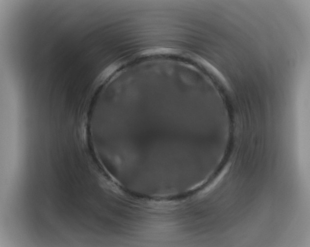 X0000114080921200910051355