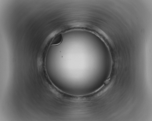 X0000114080922200910051355