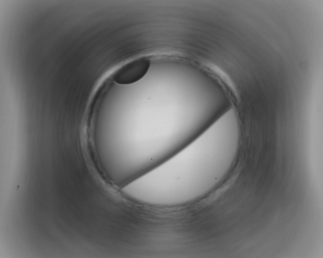 X0000114080928200910051355