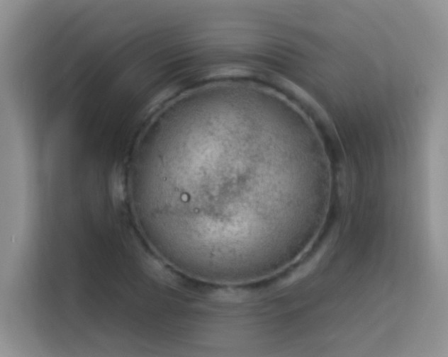 X0000114080929200910051355