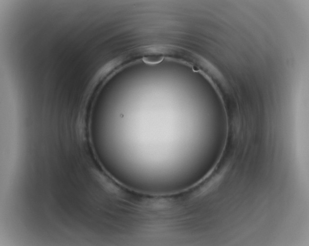 X0000114080930200910051355