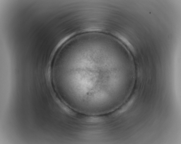 X0000114080933200910051355