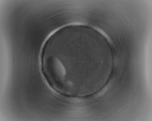 X0000114080935200910051355