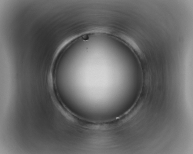 X0000114080936200910051355