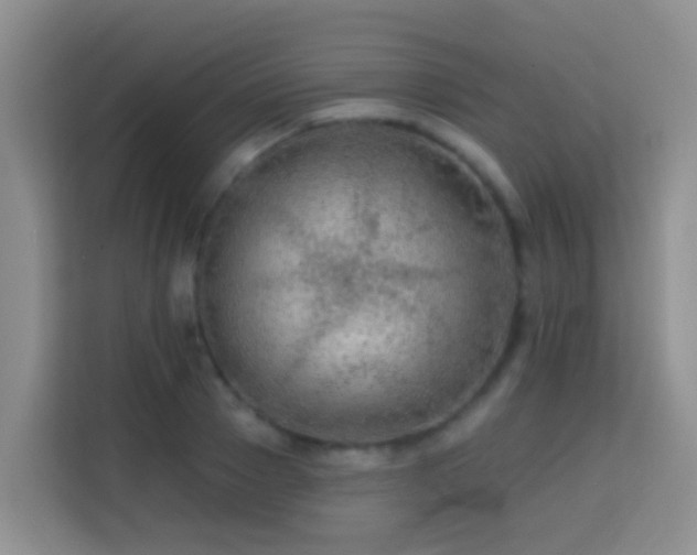 X0000114080937200910051355