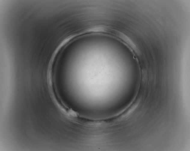 X0000114080939200910051356