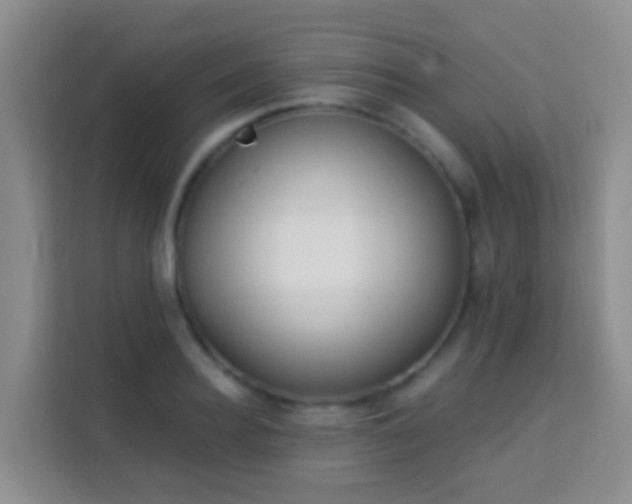 X0000114080940200910051356