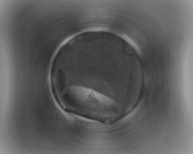 X0000114080943200910051356