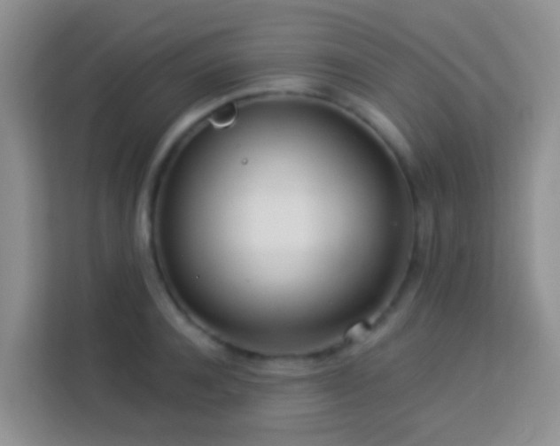 X0000114080944200910051356