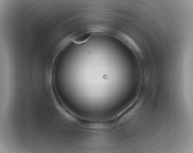 X0000114080946200910051356