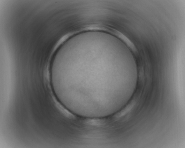 X0000114080950200910051356