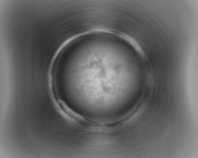 X0000114080955200910051356