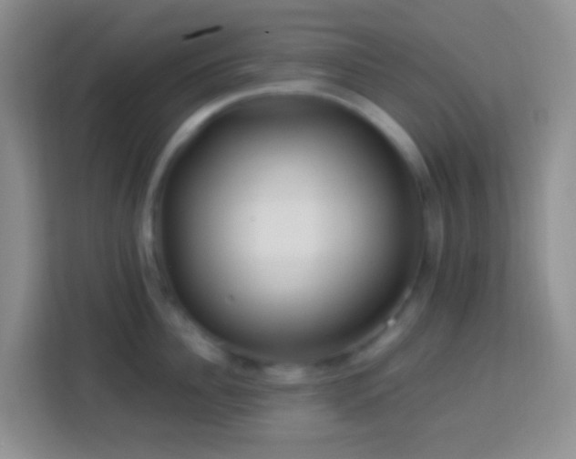 X0000114080956200910051356