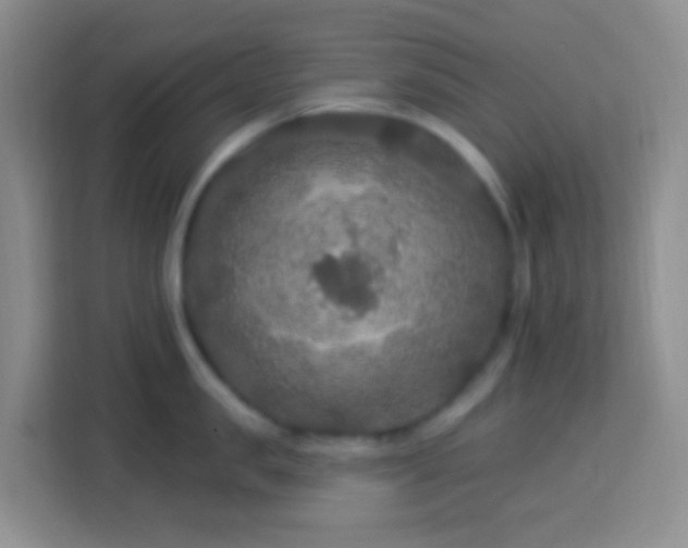 X0000114080957200910051356