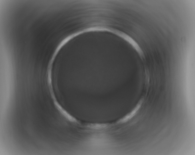 X0000114080958200910051356