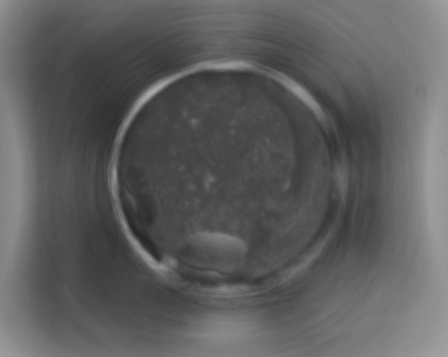 X0000114080959200910051356