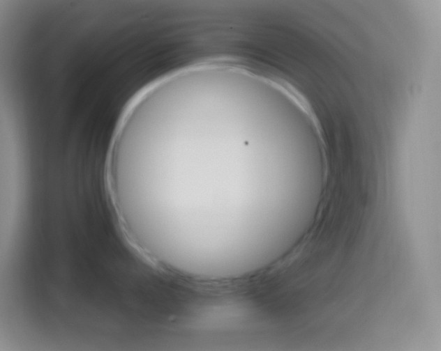 X0000114080960200910051356