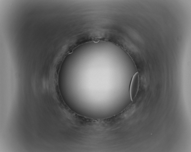 X0000114080961200910051355