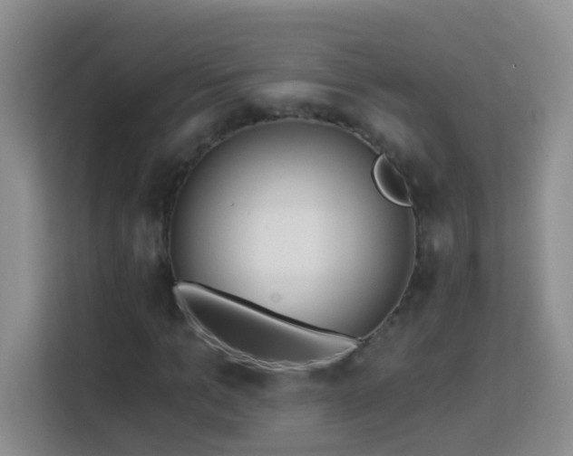 X0000114080965200910051355