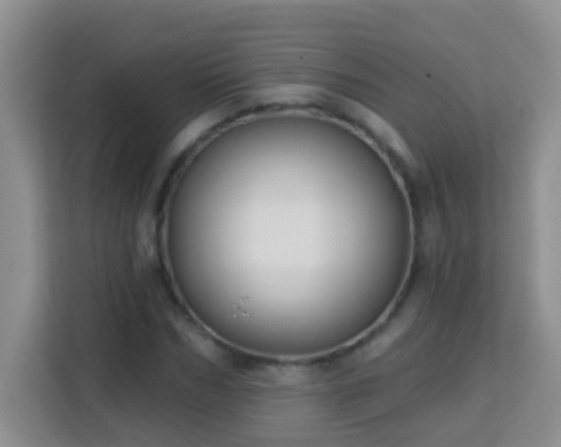 X0000114080970200910051355