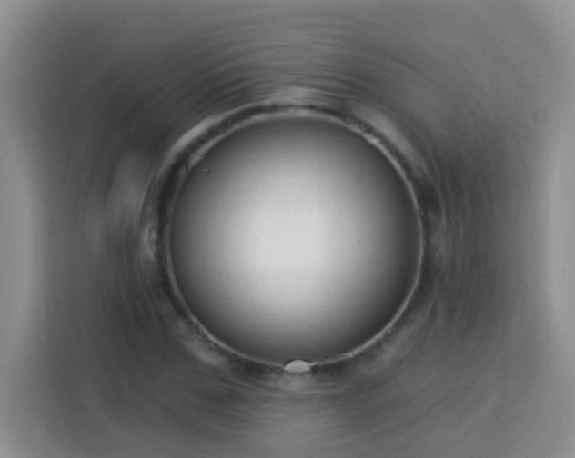 X0000114080971200910051355