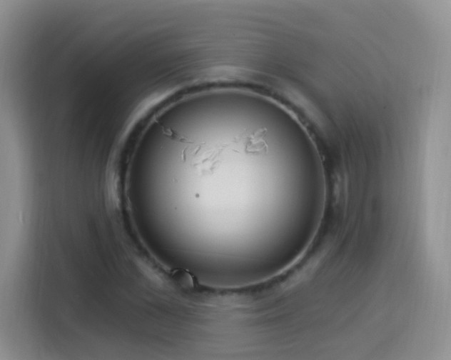 X0000114080973200910051355