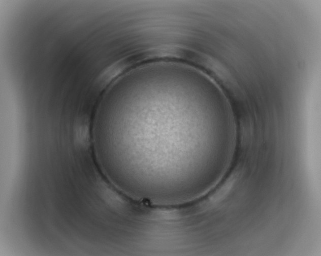 X0000114080977200910051355