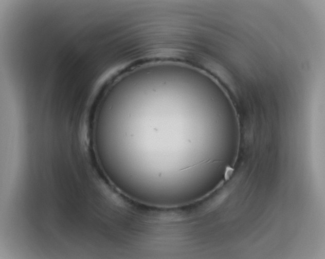 X0000114080979200910051355