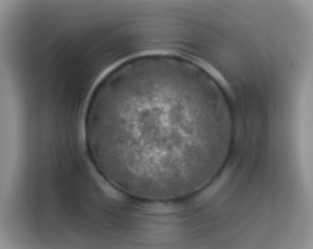 X0000114080980200910051355