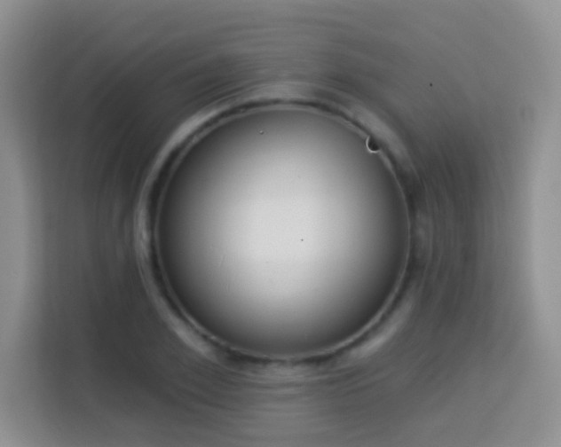 X0000114080981200910051355