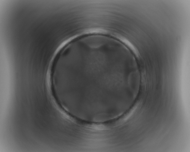 X0000114080983200910051355