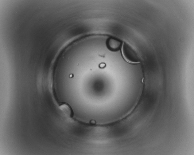 X0000114080984200910051355