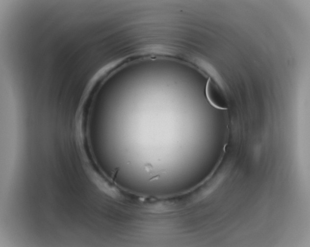 X0000114080987200910051355