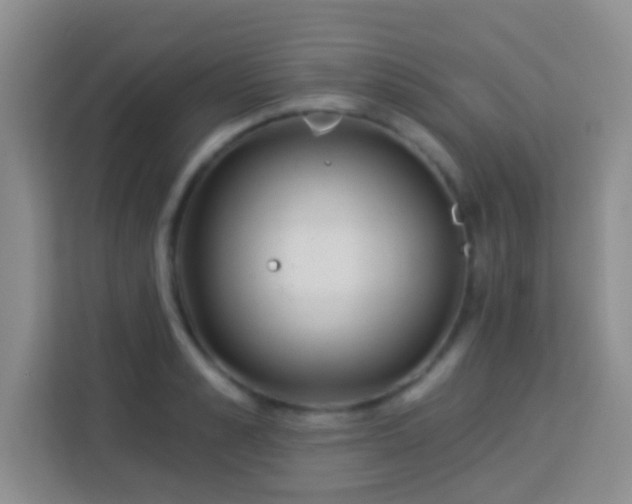 X0000114080989200910051355