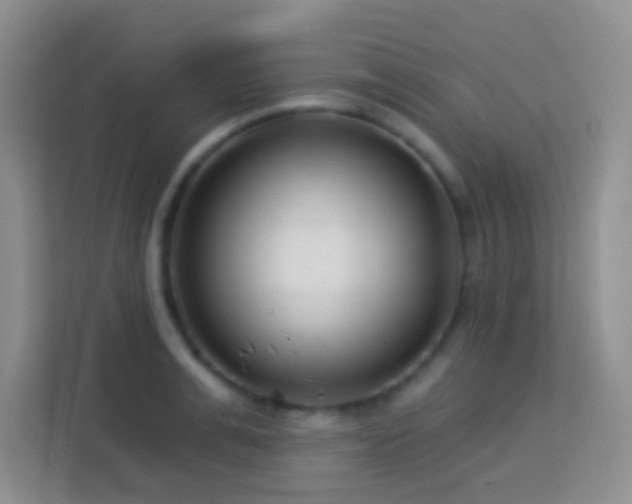 X0000114080991200910051355