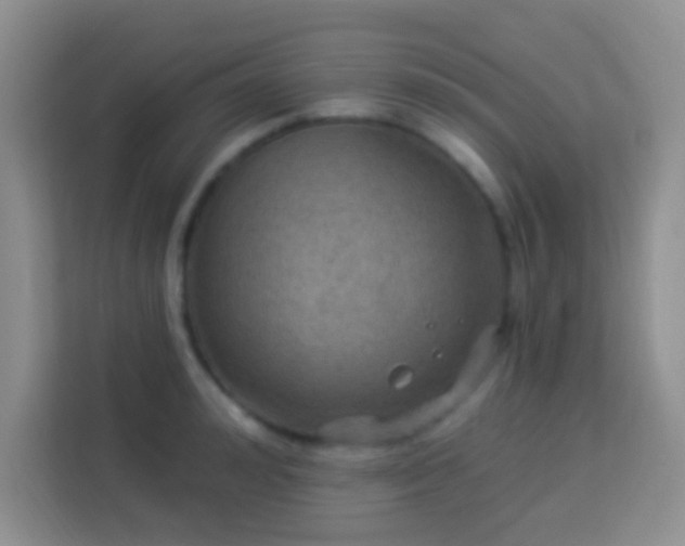 X0000114080992200910051355