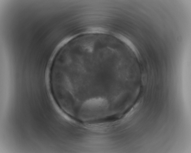 X0000114080995200910051355