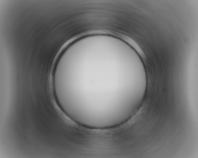 X0000114080996200910051355