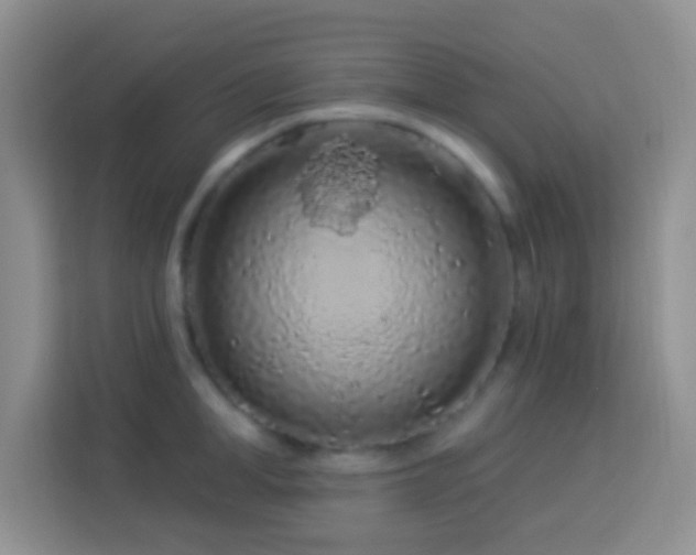 X0000114080998200910051355