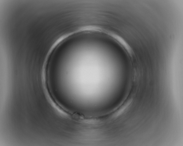 X0000114080999200910051355